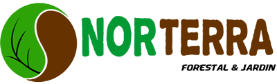 Norterra